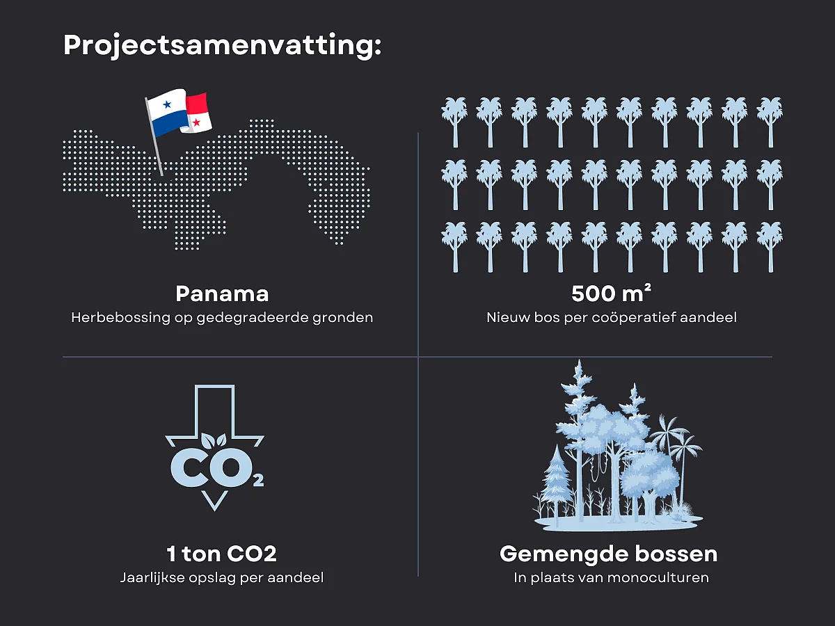 Generation Forest Graphic NL